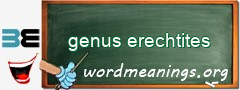 WordMeaning blackboard for genus erechtites